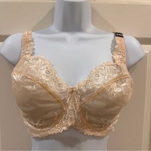 Paramour by Felina Bare Cross Dye Nude Cream Underwire Lace Detailed Bra 34G